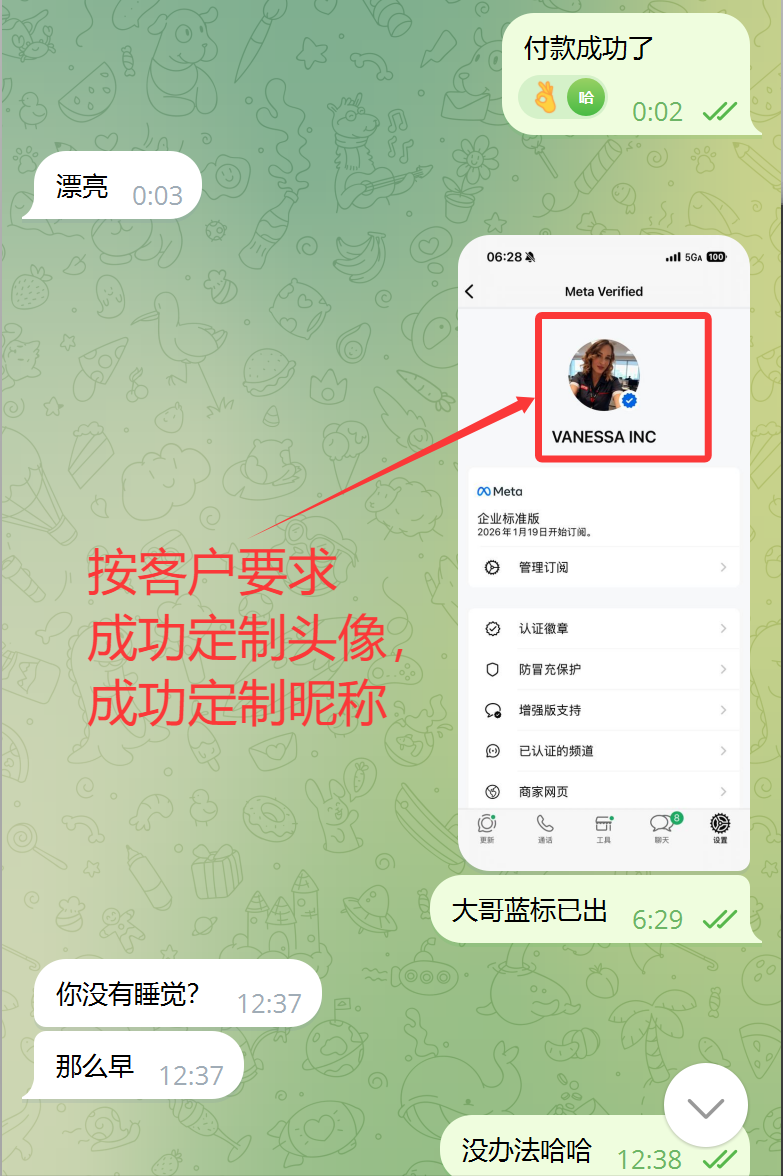WhatsApp 蓝标号真实制作案例：客户信息提交到成功展示